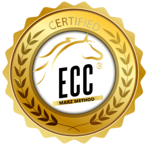 EcC Medalla