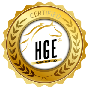 HGE Medal